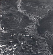 浜田川の被害の様子の写真