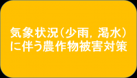 少雨渇水対策