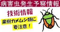 果樹カメムシ類技術情報バナー