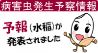 技術情報