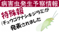 あ