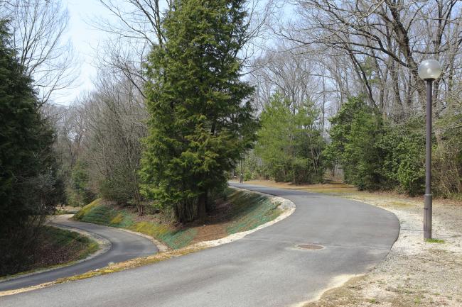 自然散策道の代表ページ1