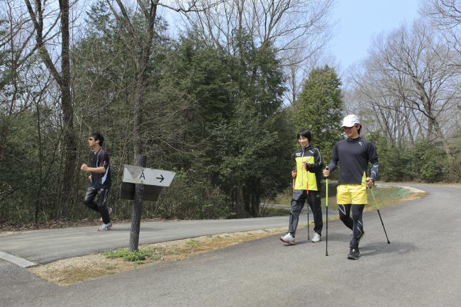 自然散策道の代表ページ2