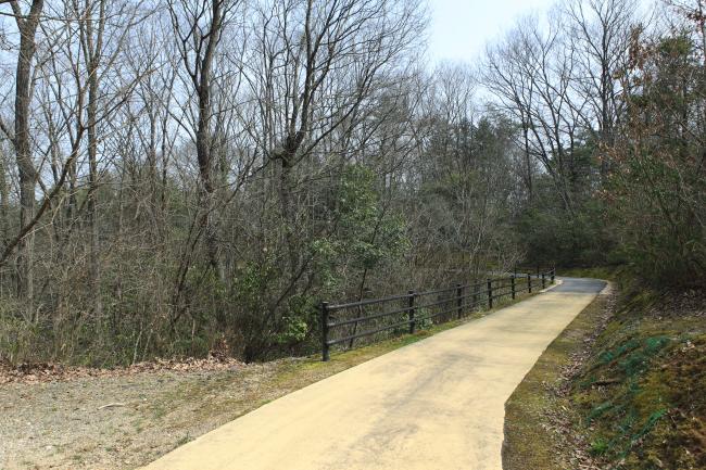 自然散策道の代表ページ3