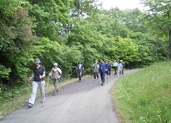 ランニング風景の写真