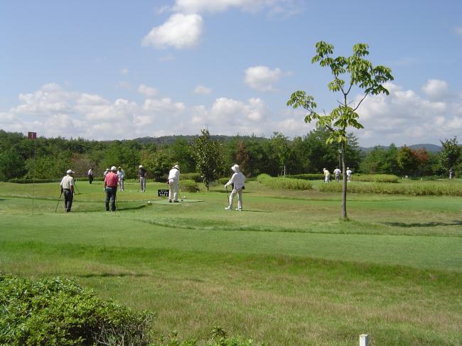 パークゴルフの代表写真