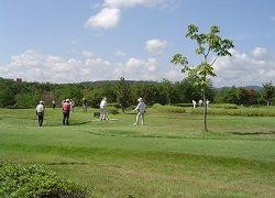 プレー風景の写真