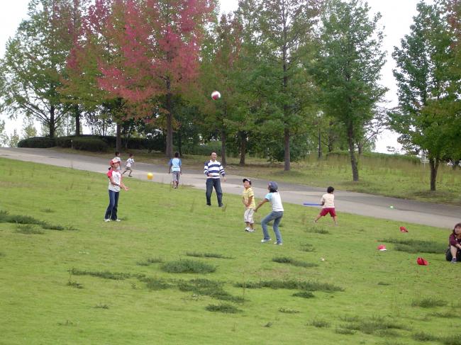 芝生広場の代表写真