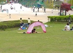 基本的な利用（写真）