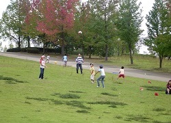 その他利用（写真）