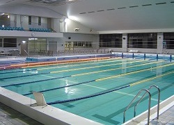 一般プールの写真