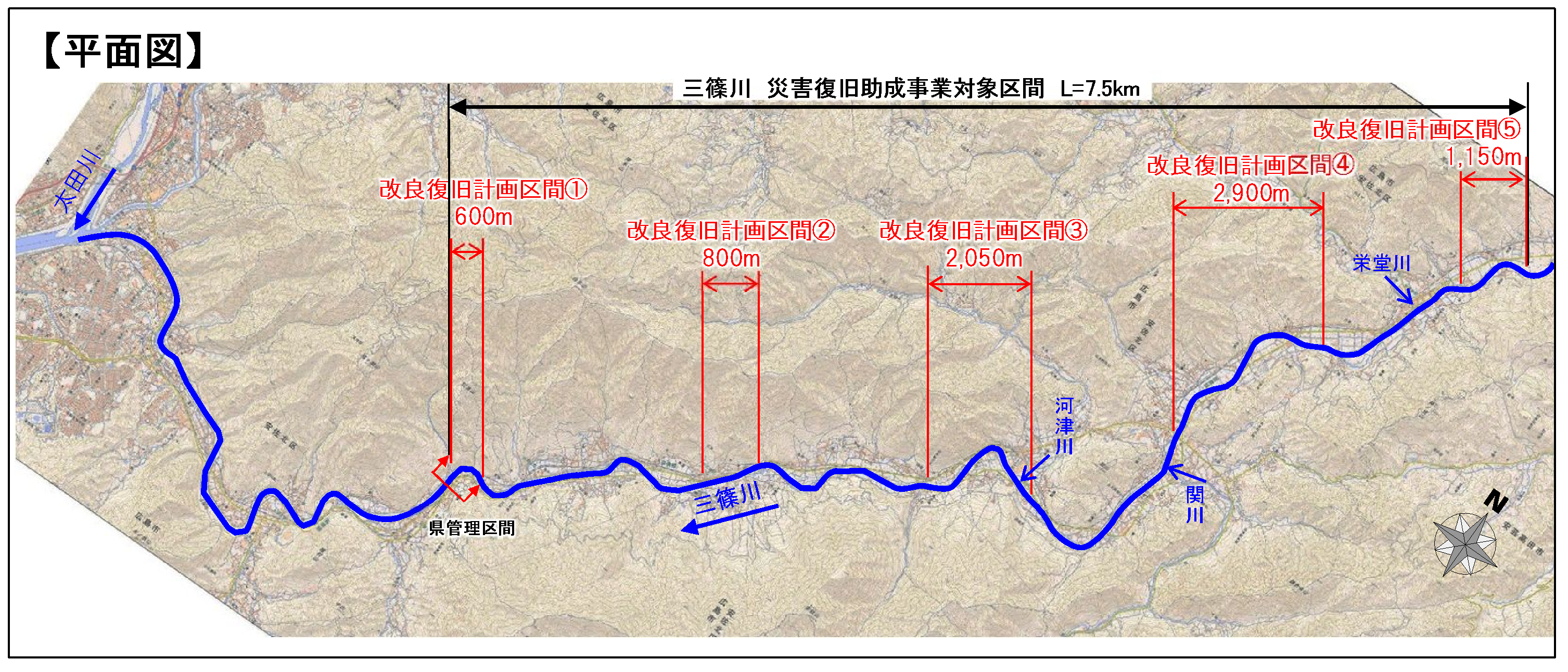 平面図