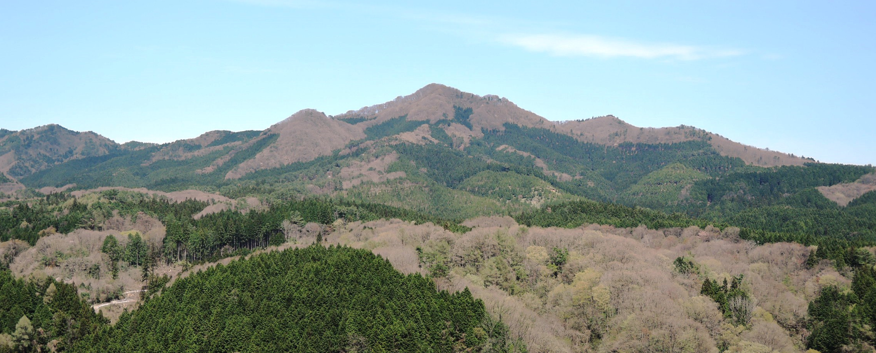 画像（女亀山県営林）