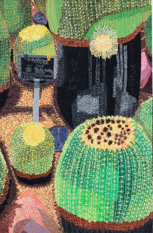 銀賞「金鯱サボテン」作者：勢川　真健