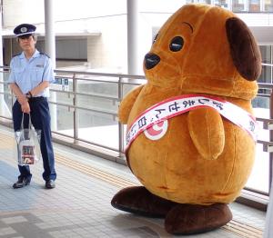 啓発活動の写真６