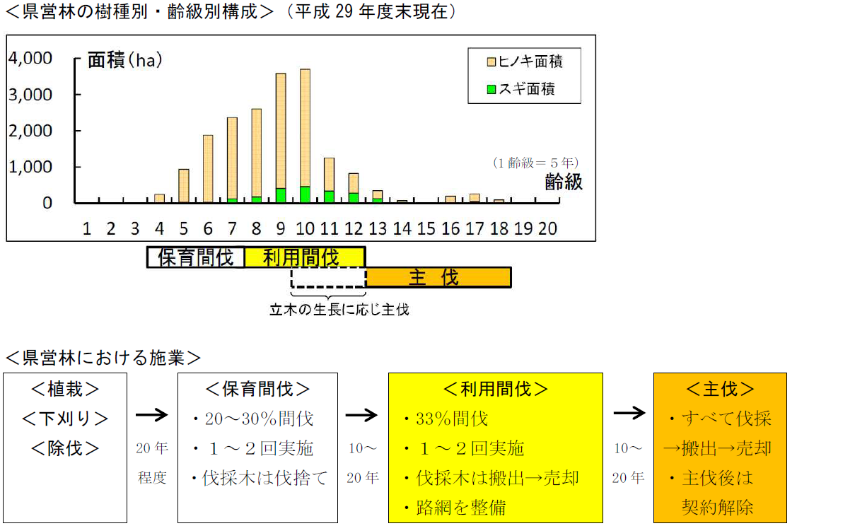 画像（県営林の樹種別・齢級別構成及び県営林における施業）