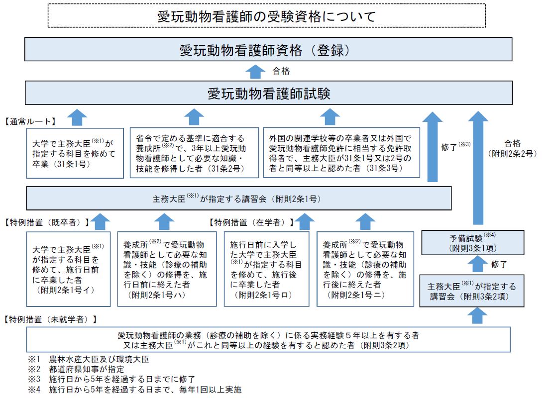 図_愛玩動物看護師の受験資格について