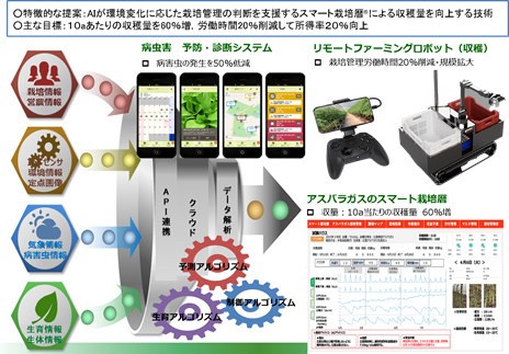 テーマ：施設アスパラガスの高収益で省力的な技術の確立