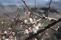 和歌山県の画像